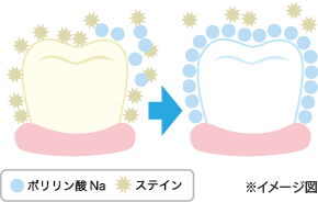 ポリリン酸Naの効果